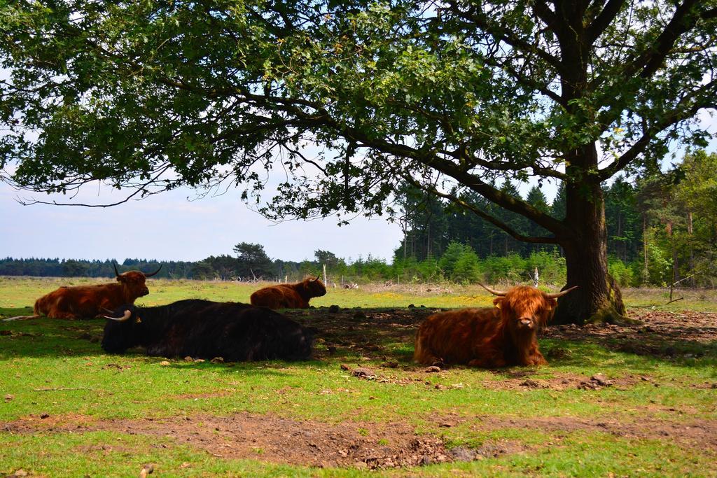B&B Leendershoeve In Heusden 아스텐 외부 사진