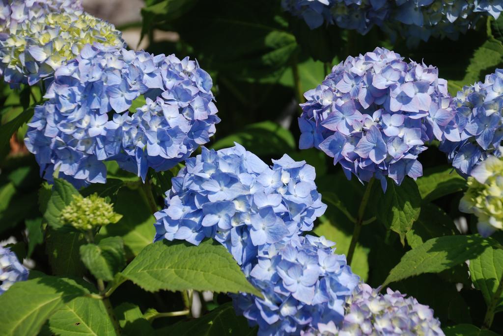 B&B Leendershoeve In Heusden 아스텐 외부 사진