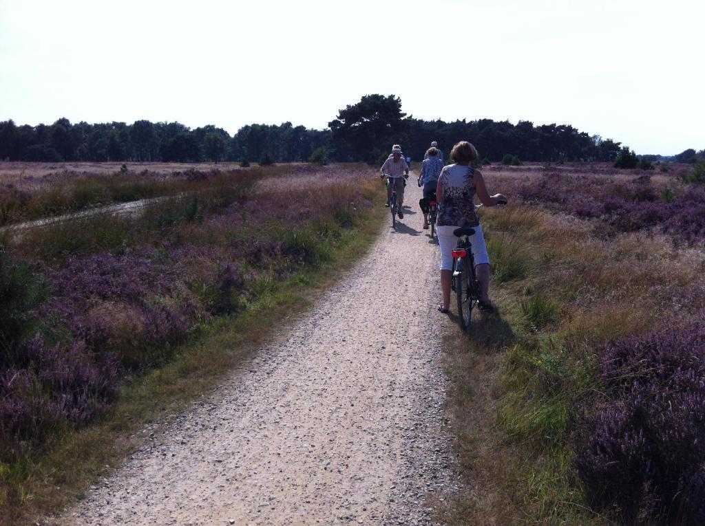 B&B Leendershoeve In Heusden 아스텐 외부 사진