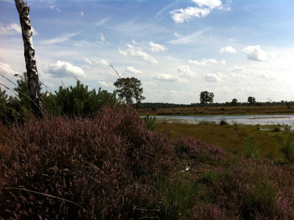 B&B Leendershoeve In Heusden 아스텐 외부 사진
