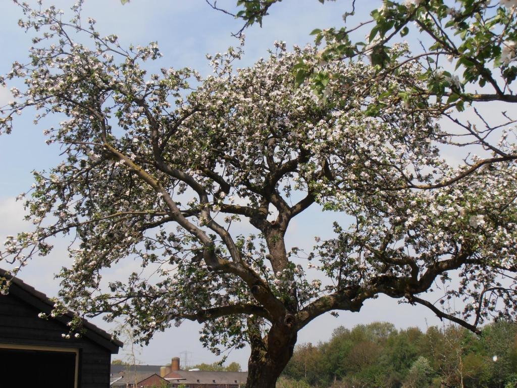 B&B Leendershoeve In Heusden 아스텐 외부 사진